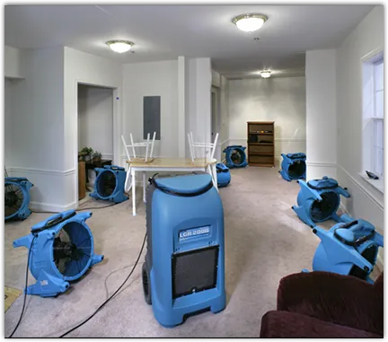 Water Damage Restoration services in Mills River, NC