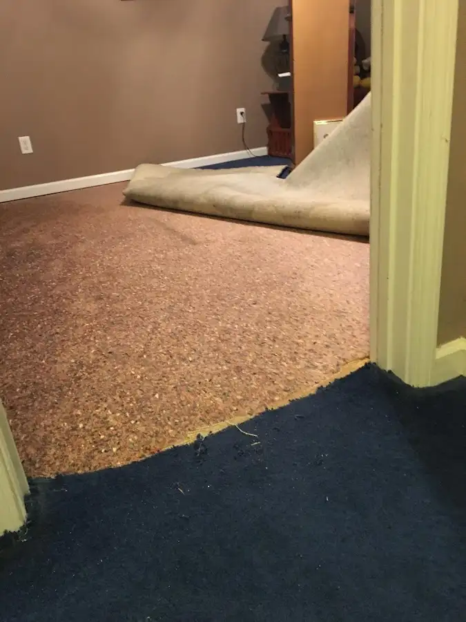 Carpet pad removal revealing water damage during Water Mitigation Services in Mills River