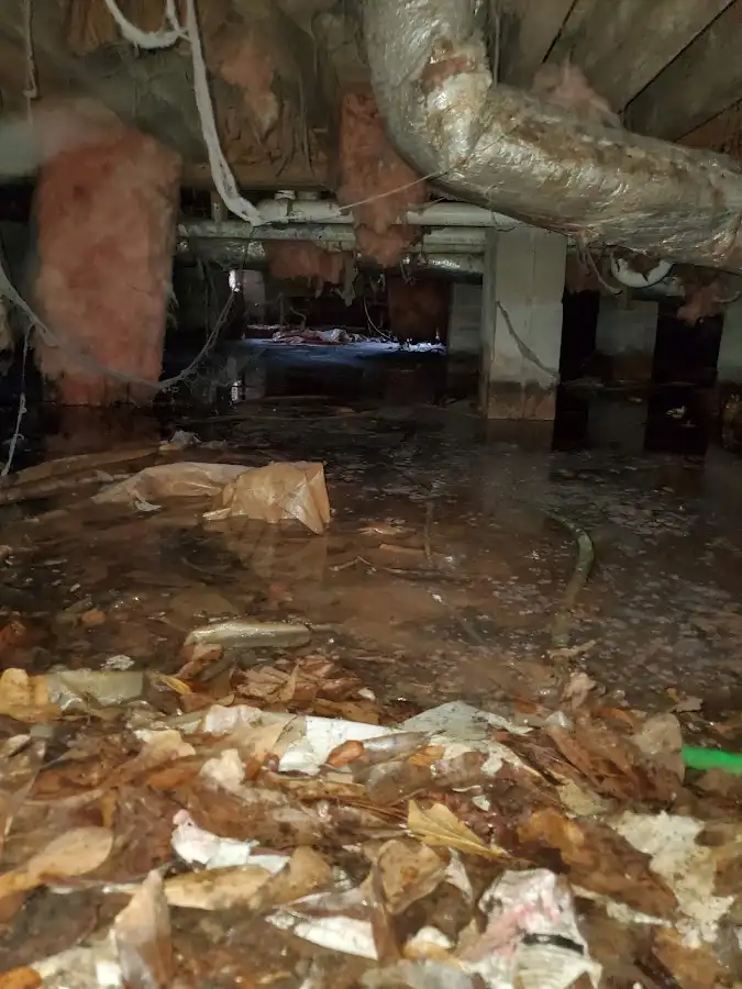 Crawl space flood assessment for Commercial Water Damage Restoration in Mills River